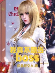 I Really Don't Want to Be the Boss